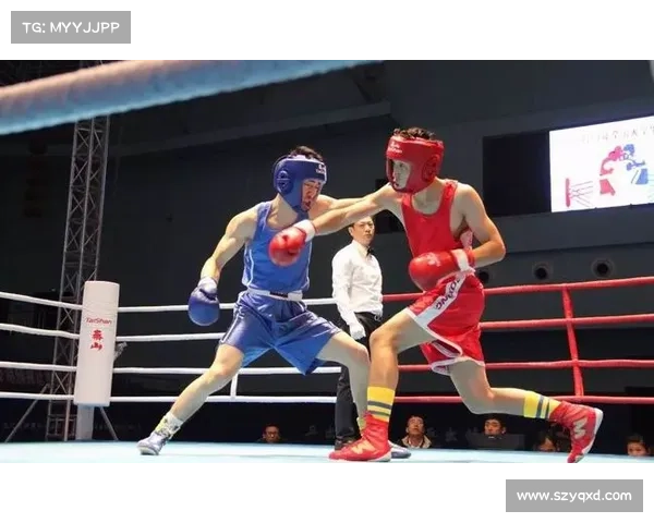 2017全国拳击锦标赛