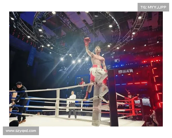 搏击赛事举办、搏击比赛赛事