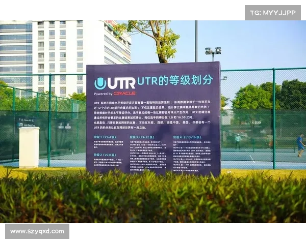 网球级别评定划分 网球级别评定划分