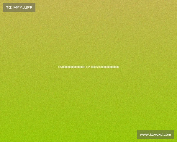 SN电子竞技俱乐部辉煌历程回顾：从LSPL冠军到S10全球总决赛亚军的荣耀之路